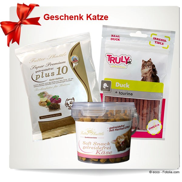 Geschenk Katze