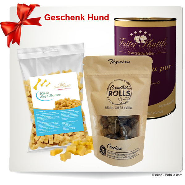 Geschenk Hund