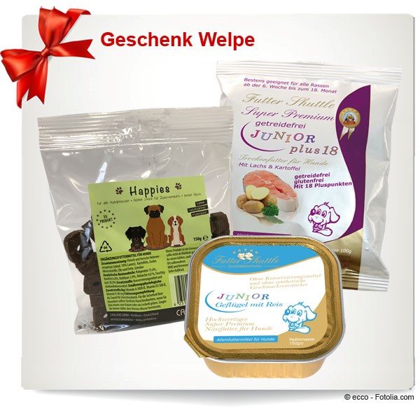 Geschenk Welpe