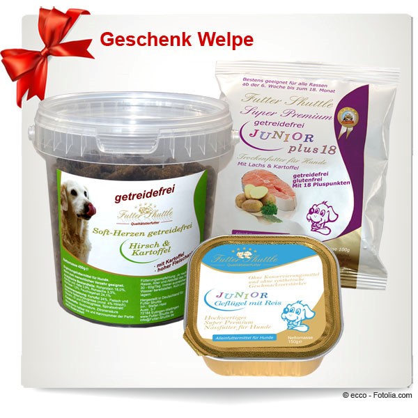 Geschenk Welpe