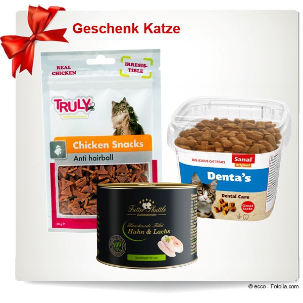 Geschenk Katze